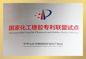 國(guó)家化工橡膠專利聯(lián)盟試點(diǎn)