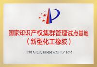 國(guó)家知識(shí)產(chǎn)權(quán)集群管理試點(diǎn)基地（新型化